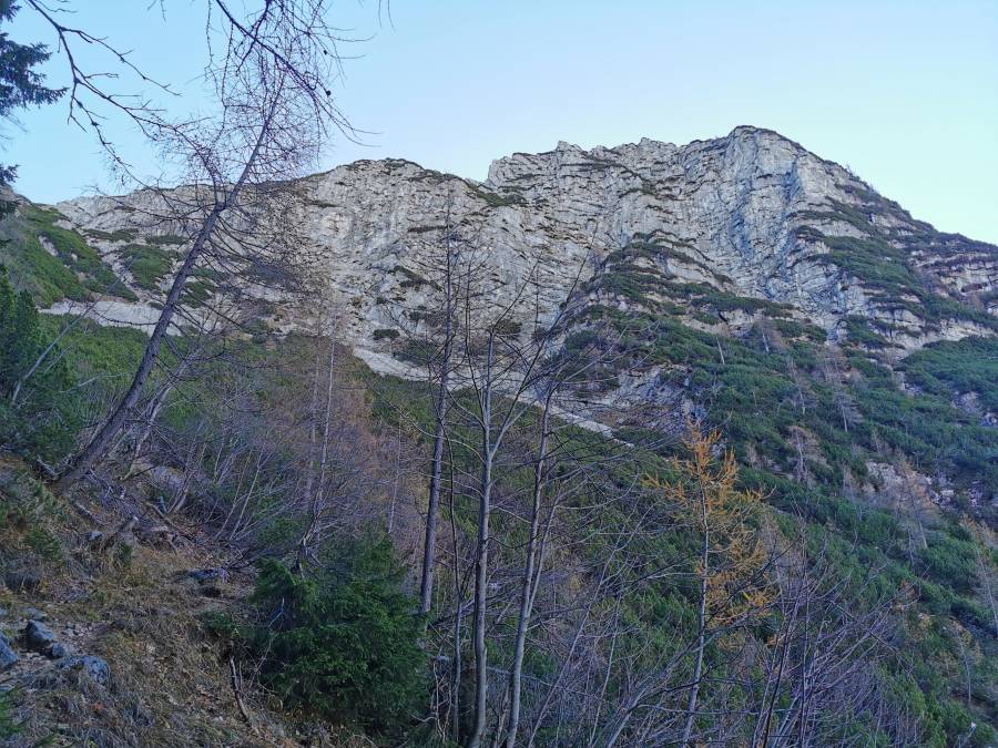 img_20211120_102557.jpg