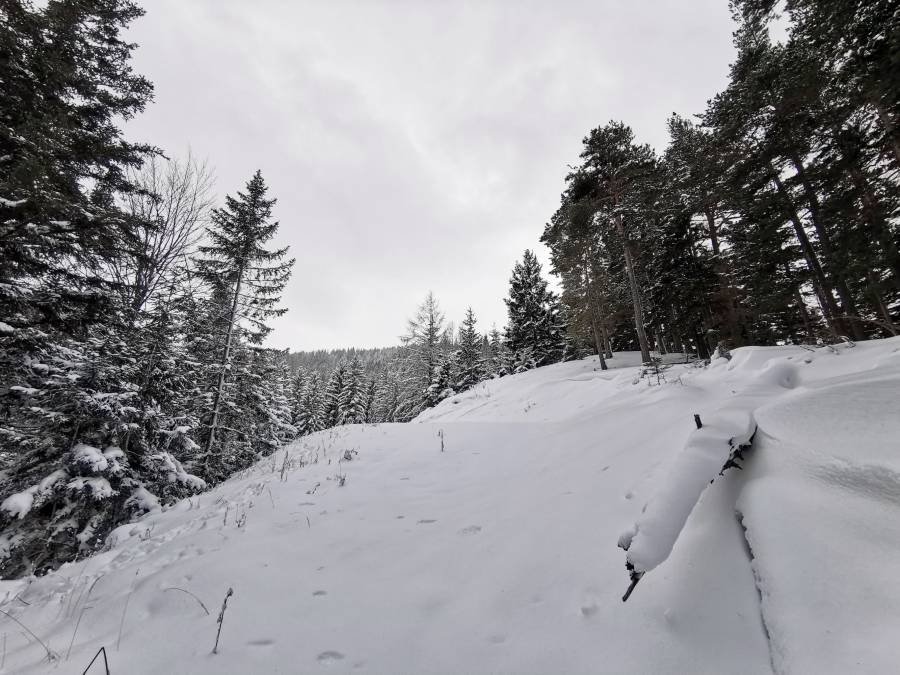 img_20210116_114931.jpg