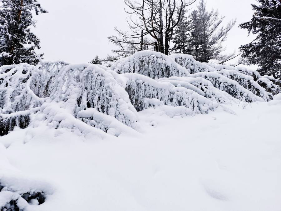 img_20210116_125801.jpg
