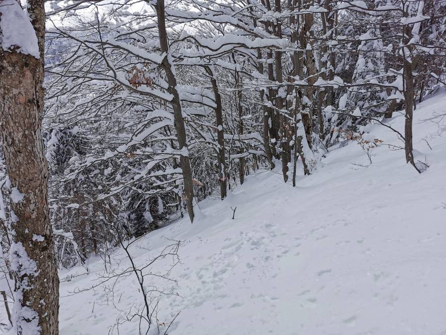 img_20210320_135532.jpg