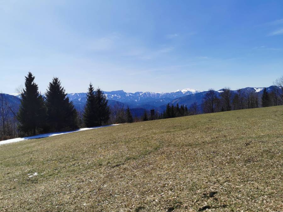 img_20210405_123019.jpg