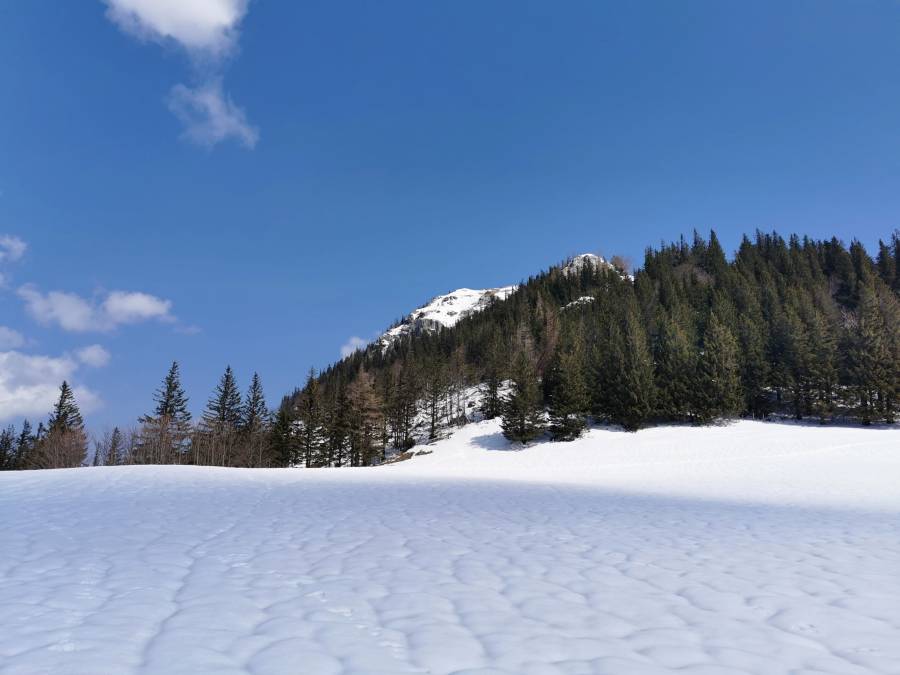 img_20210421_120737.jpg