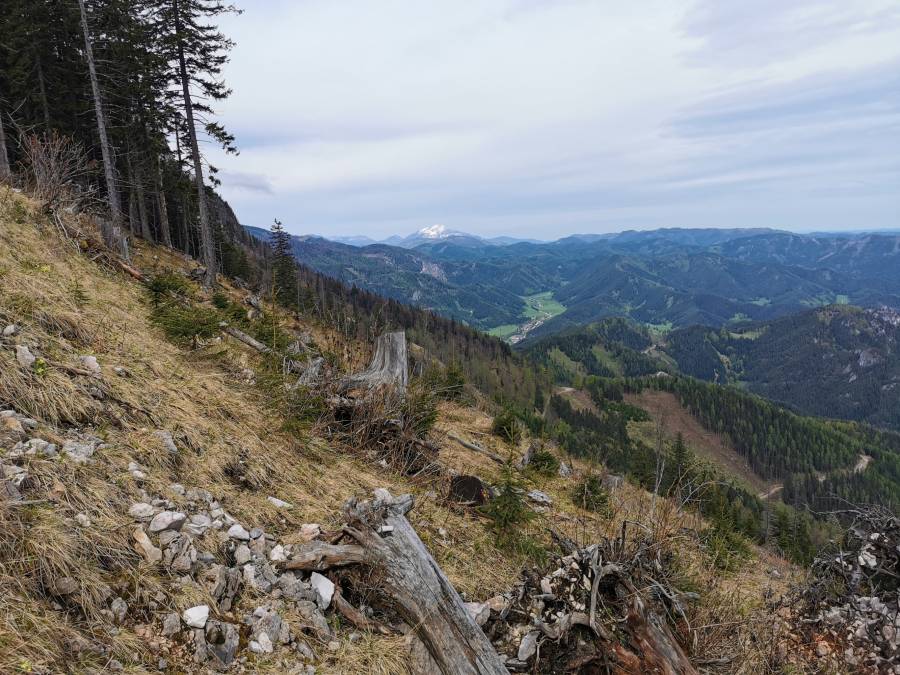 img_20210524_095617.jpg