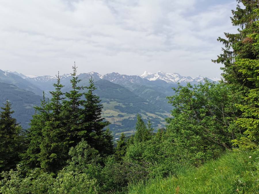 img_20210620_092001.jpg