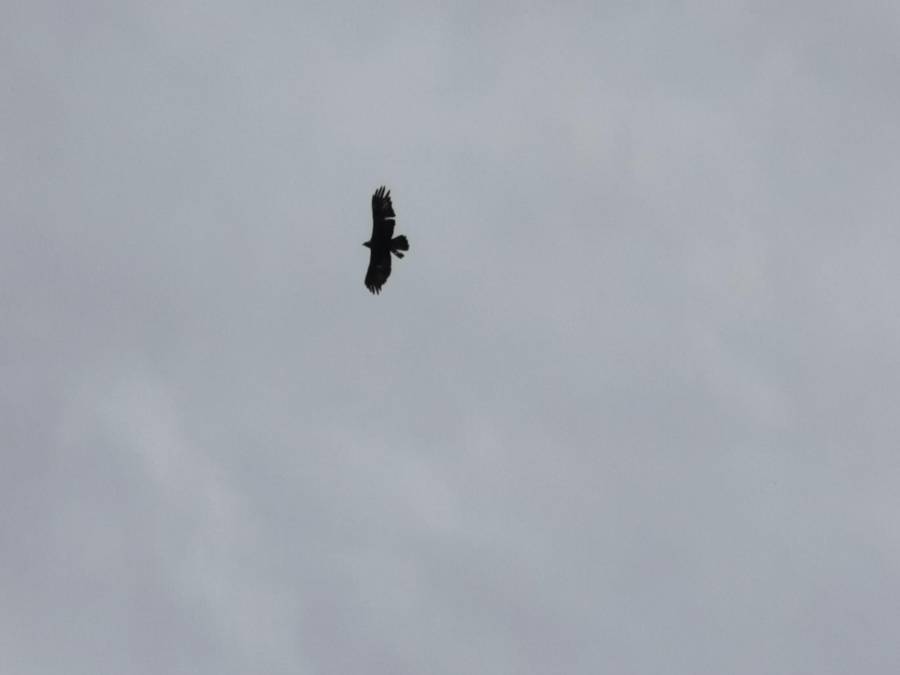 img_20210620_101659.jpg
