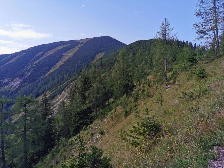 img_20210815_085842.jpg