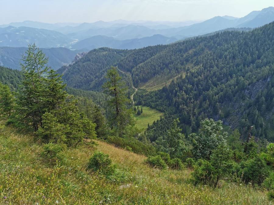 img_20210815_101844.jpg