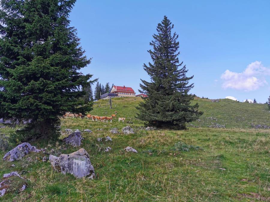 img_20210821_103820.jpg