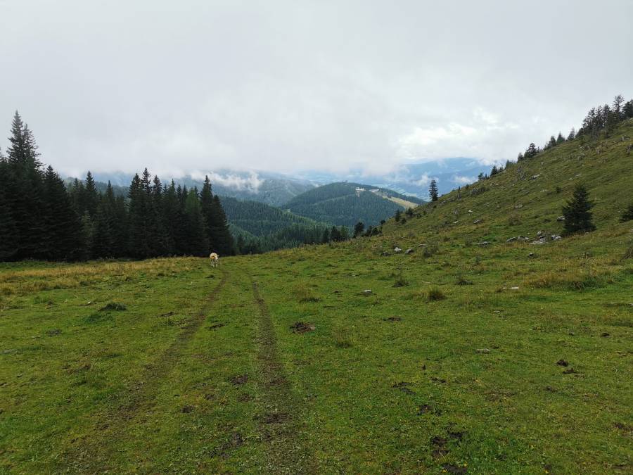 img_20210829_100652.jpg
