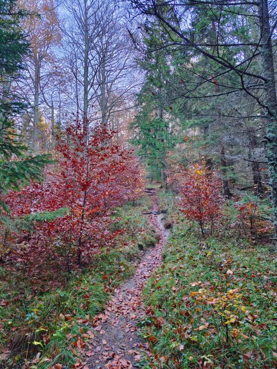 filter: 0; fileterIntensity: 0.0; filterMask: 0; algolist: 0; module: photo; 
hw-remosaic: false; 
touch: (-1.0, -1.0); 
modeInfo: ; 
sceneMode: 3145728; 
cct_value: 6888; 
AI_Scene: (-1, -1); 
aec_lux: 260.72772; 
aec_lux_index: 0; 
hist255: 0.0; 
hist252~255: 0.0; 
hist0~15: 0.0; 
albedo: 18.0; 
confidence: 0.8; 
motionLevel: 0; 
weatherinfo: null; ...