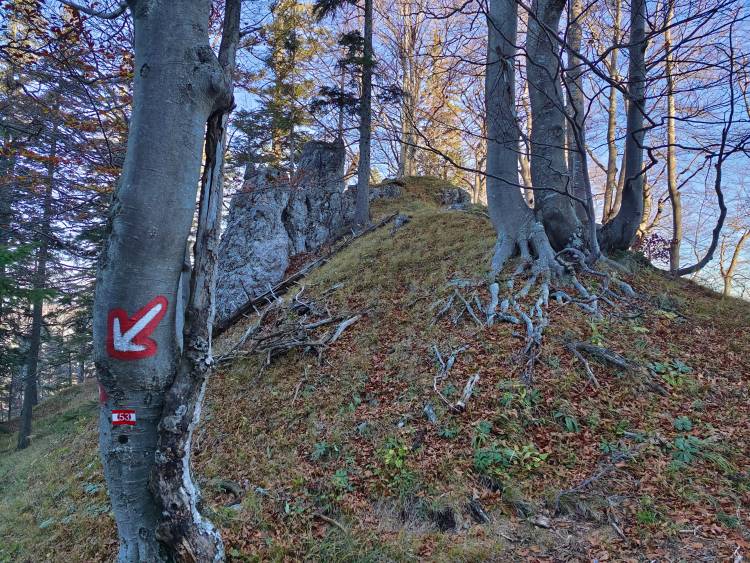 filter: 0; fileterIntensity: 0.0; filterMask: 0; algolist: 0; module: photo; 
hw-remosaic: false; 
touch: (-1.0, -1.0); 
modeInfo: ; 
sceneMode: 3145728; 
cct_value: 6944; 
AI_Scene: (-1, -1); 
aec_lux: 211.85715; 
aec_lux_index: 0; 
hist255: 0.0; 
hist252~255: 0.0; 
hist0~15: 0.0; 
albedo: 18.0; 
confidence: 0.8; 
motionLevel: 0; 
weatherinfo: null; ...