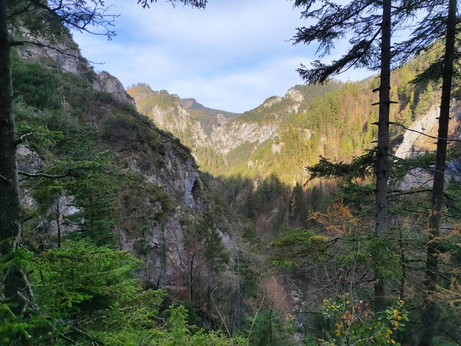 filter: 0; fileterIntensity: 0.0; filterMask: 0; algolist: 0; module: photo; 
hw-remosaic: false; 
touch: (-1.0, -1.0); 
modeInfo: ; 
sceneMode: 8; 
cct_value: 5583; 
AI_Scene: (-1, -1); 
aec_lux: 143.9011; 
aec_lux_index: 0; 
hist255: 0.0; 
hist252~255: 0.0; 
hist0~15: 0.0; 
albedo: 18.0; 
confidence: 0.8; 
motionLevel: 0; 
weatherinfo: null; ...