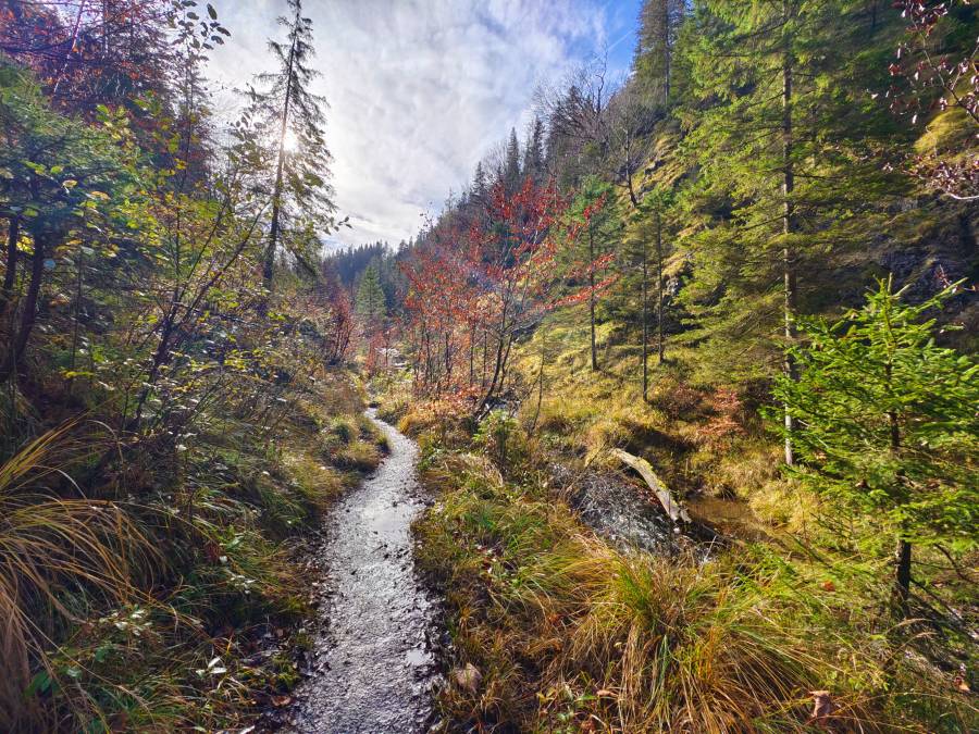 filter: 0; fileterIntensity: 0.0; filterMask: 0; algolist: 0; module: photo; 
hw-remosaic: false; 
touch: (-1.0, -1.0); 
modeInfo: ; 
sceneMode: 2621440; 
cct_value: 5416; 
AI_Scene: (-1, -1); 
aec_lux: 158.78864; 
aec_lux_index: 0; 
hist255: 0.0; 
hist252~255: 0.0; 
hist0~15: 0.0; 
albedo: 18.0; 
confidence: 0.8; 
motionLevel: 0; 
weatherinfo: null; ...