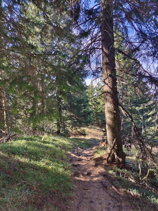 filter: 0; fileterIntensity: 0.0; filterMask: 0; algolist: 0; module: photo; 
hw-remosaic: false; 
touch: (-1.0, -1.0); 
modeInfo: ; 
sceneMode: 2621440; 
cct_value: 5250; 
AI_Scene: (-1, -1); 
aec_lux: 213.57663; 
aec_lux_index: 0; 
hist255: 0.0; 
hist252~255: 0.0; 
hist0~15: 0.0; 
albedo: 18.0; 
confidence: 0.8; 
motionLevel: 0; 
weatherinfo: null; ...