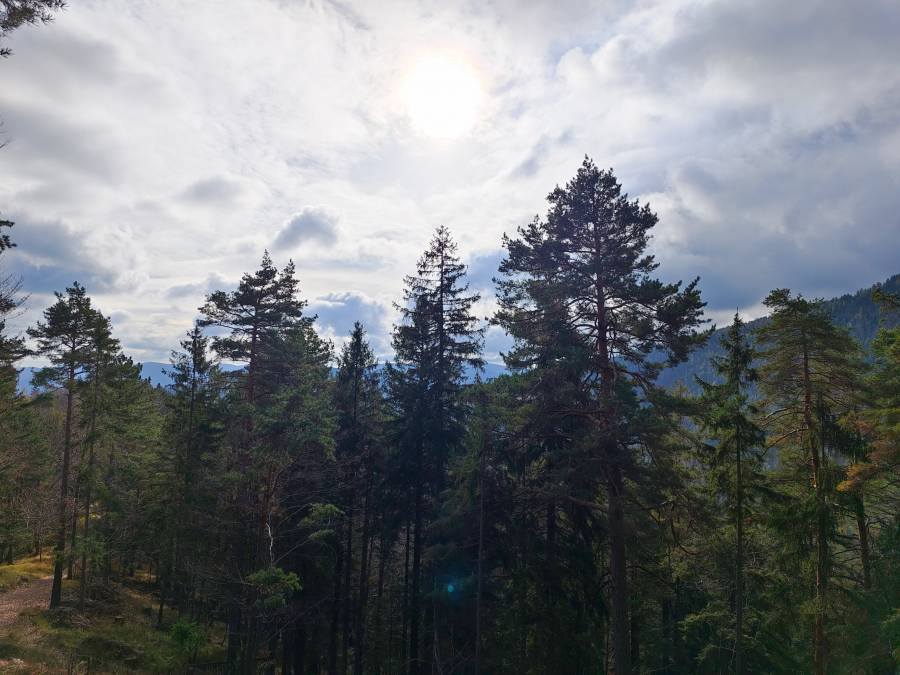 filter: 0; fileterIntensity: 0.0; filterMask: 0; algolist: 0; module: photo; 
hw-remosaic: false; 
touch: (-1.0, -1.0); 
modeInfo: ; 
sceneMode: 2621440; 
cct_value: 5750; 
AI_Scene: (23, 0); 
aec_lux: 48.529533; 
aec_lux_index: 0; 
hist255: 0.0; 
hist252~255: 0.0; 
hist0~15: 0.0; 
albedo: 18.0; 
confidence: 0.8; 
motionLevel: 0; 
weatherinfo: null; ...