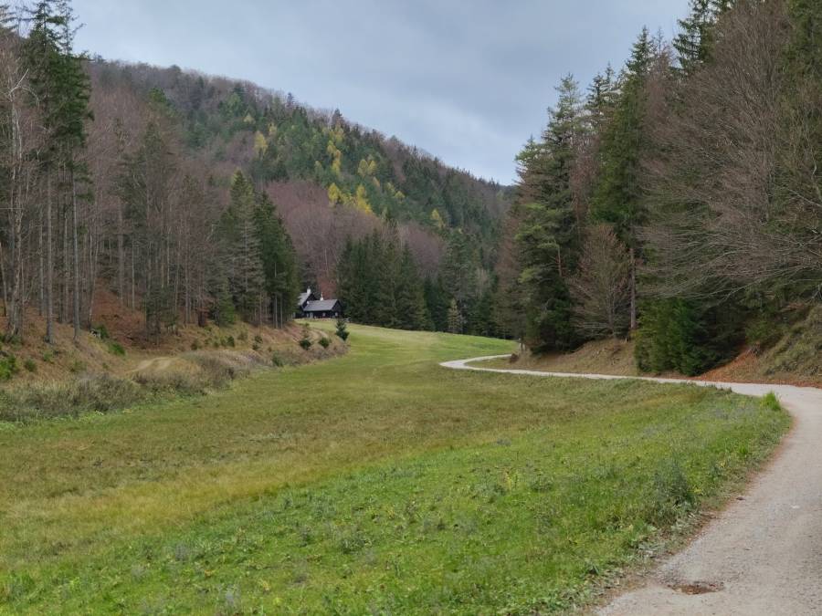 filter: 0; fileterIntensity: 0.0; filterMask: 0; algolist: 0; module: photo; 
hw-remosaic: false; 
touch: (-1.0, -1.0); 
modeInfo: ; 
sceneMode: 8; 
cct_value: 5500; 
AI_Scene: (16, 0); 
aec_lux: 178.94157; 
aec_lux_index: 0; 
hist255: 0.0; 
hist252~255: 0.0; 
hist0~15: 0.0; 
albedo: 18.0; 
confidence: 0.8; 
motionLevel: 0; 
weatherinfo: null; ...