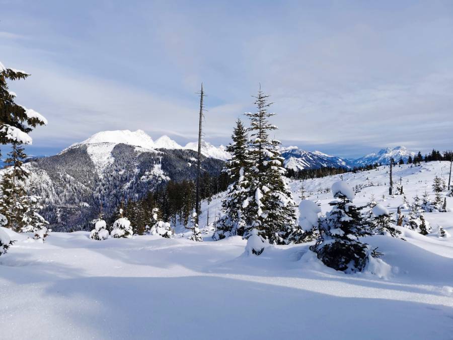 img_20220113_123407.jpg