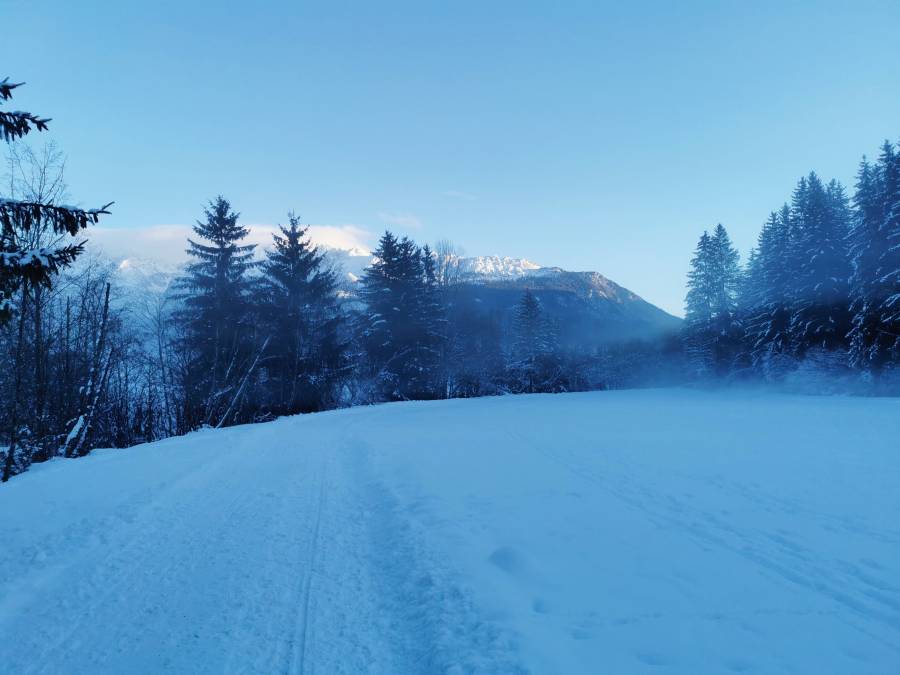 img_20220114_155908.jpg