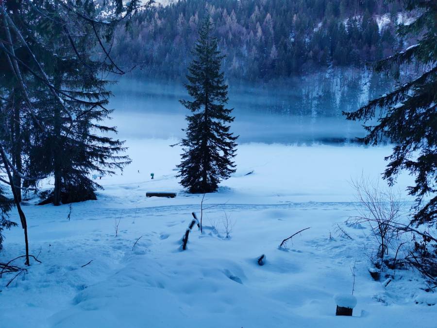 img_20220115_094132.jpg