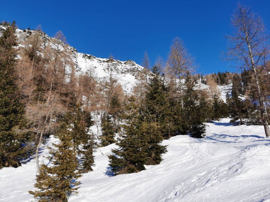 img_20220116_095702.jpg
