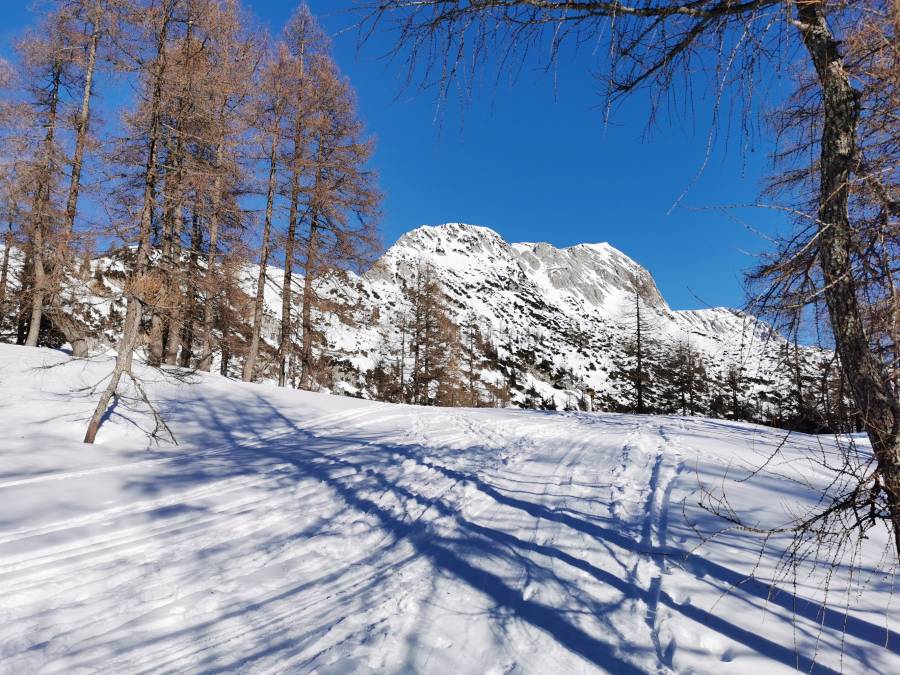 img_20220116_104710.jpg