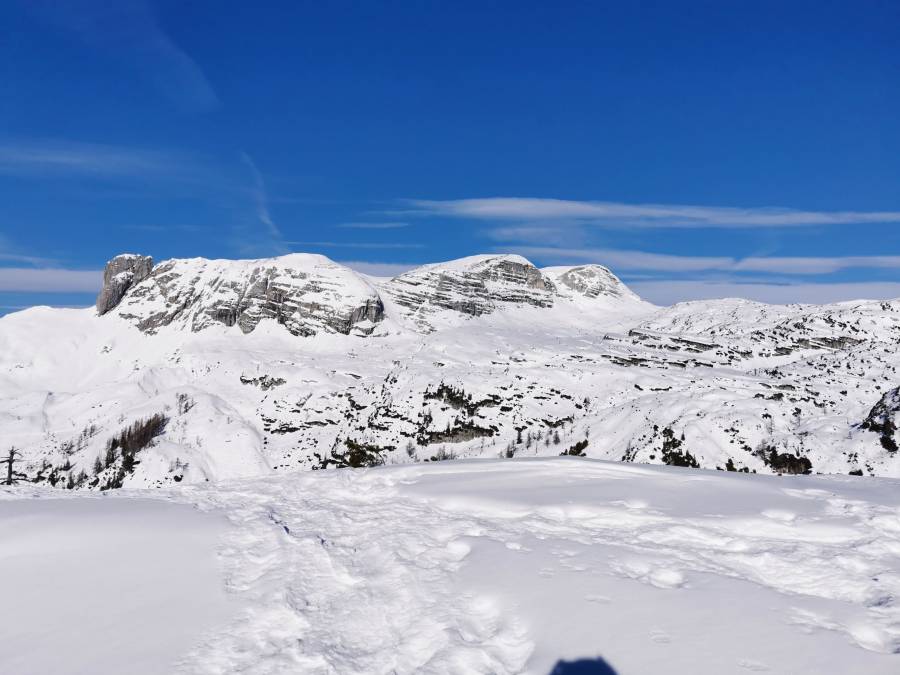 img_20220116_111349.jpg
