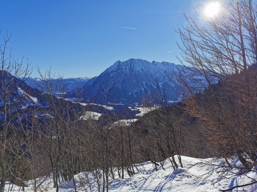 img_20220116_135256.jpg