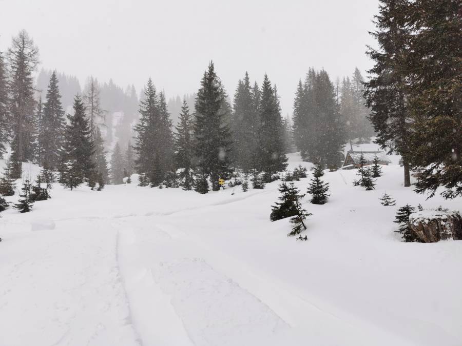 img_20220117_095232.jpg