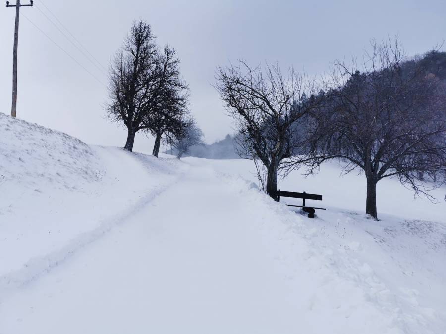 img_20220122_122147.jpg