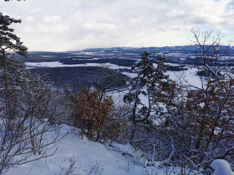 img_20220122_144705.jpg