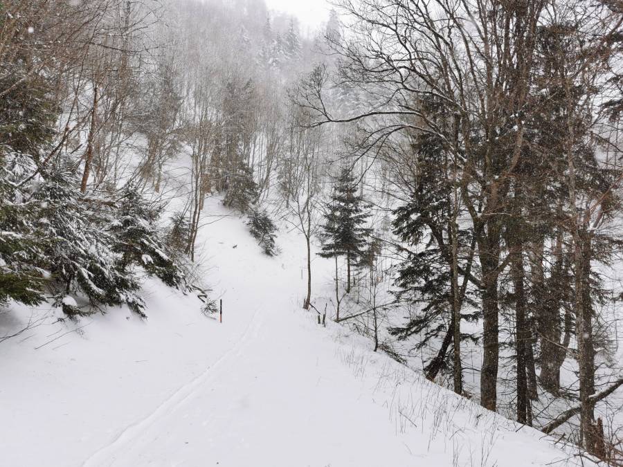 img_20220129_124508.jpg