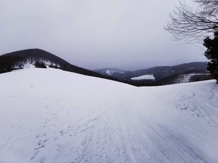 img_20220129_152548.jpg