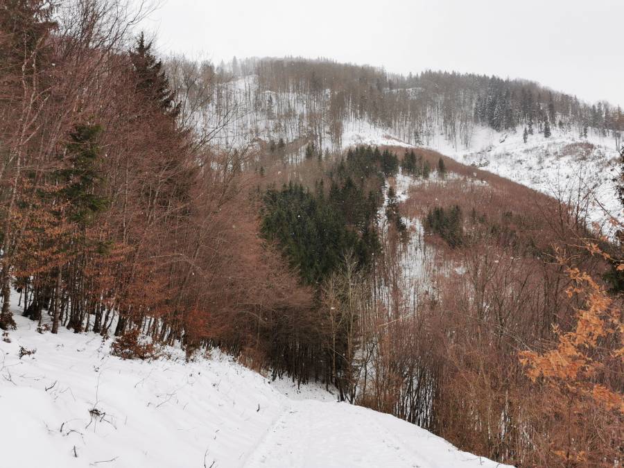 img_20220129_152701.jpg