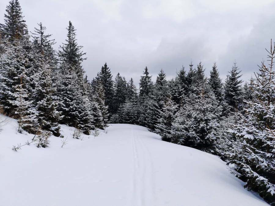 img_20220305_123305.jpg