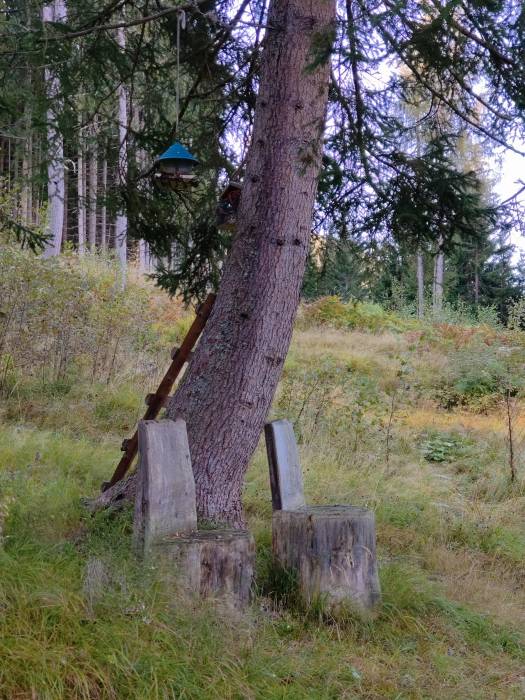 filter: 0; fileterIntensity: 0.0; filterMask: 0; algolist: 0; module: photo; 
hw-remosaic: false; 
touch: (-1.0, -1.0); 
modeInfo: ; 
sceneMode: 8; 
cct_value: 6921; 
AI_Scene: (-1, -1); 
aec_lux: 229.42616; 
aec_lux_index: 0; 
hist255: 0.0; 
hist252~255: 0.0; 
hist0~15: 0.0; 
albedo: 13.368858; 
confidence: 0.9; 
motionLevel: 0; 
weatherinfo: null; ...