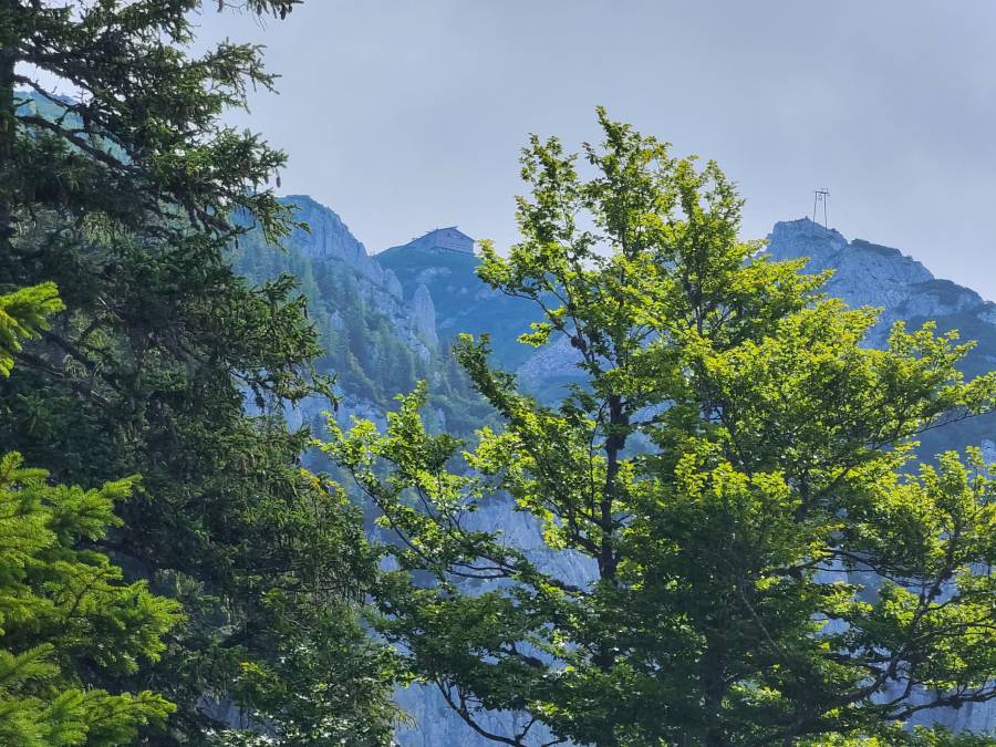 filter: 0; fileterIntensity: 0.0; filterMask: 0; algolist: 0; multi-frame: 1;
module: photo; 
hw-remosaic: false; 
touch: (-1.0, -1.0); 
modeInfo: ; 
sceneMode: 8; 
cct_value: 5750; 
AI_Scene: (-1, -1); 
aec_lux: 96.916916; 
aec_lux_index: 0; 
hist255: 0.0; 
hist252~255: 0.0; 
hist0~15: 0.0; 
albedo: 18.0; 
confidence: 0.8; 
motionLevel: 0; 
weatherinfo: null; ...