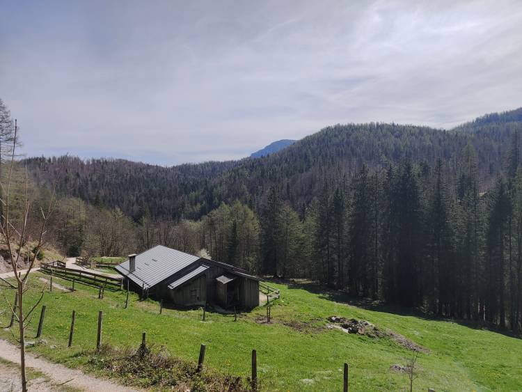 filter: 0; fileterIntensity: 0.0; filterMask: 0; algolist: 0;
multi-frame: 1;
brp_mask:0;
brp_del_th:null;
brp_del_sen:null;
delta:null;
module: photo;hw-remosaic: false;touch: (-1.0, -1.0);sceneMode: 8;cct_value:
0;AI_Scene: (-1, -1);aec_lux: 0.0;aec_lux_index: 0;albedo:  ;confidence: ...