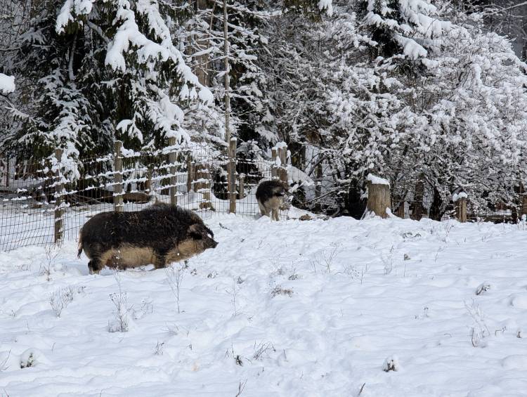 pxl_20251122_091442094.jpg pxl_20251122_091442094.jpg