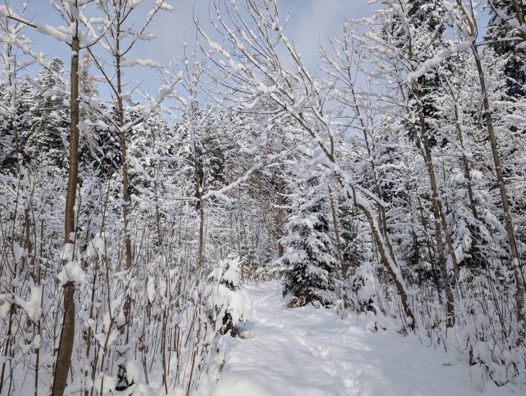 pxl_20251122_093938225.jpg pxl_20251122_093938225.jpg