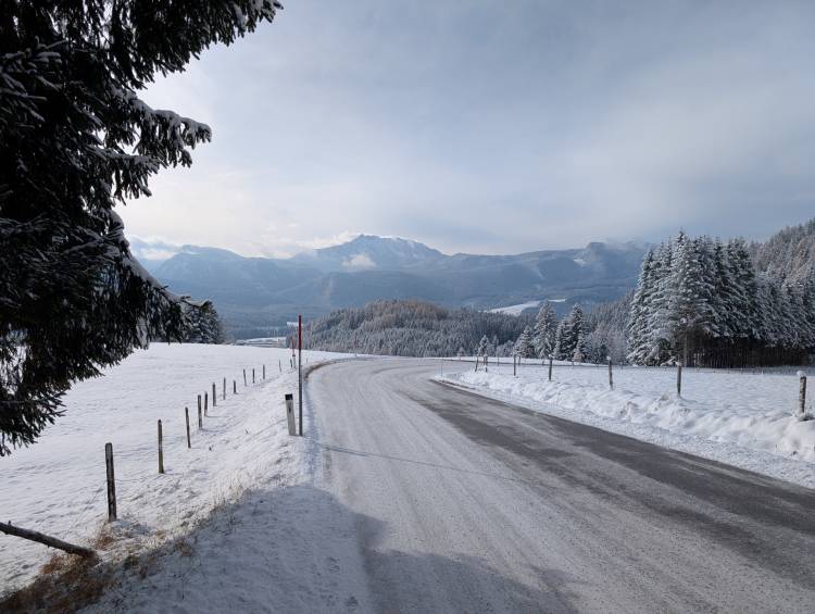 pxl_20251122_094716171.jpg pxl_20251122_094716171.jpg