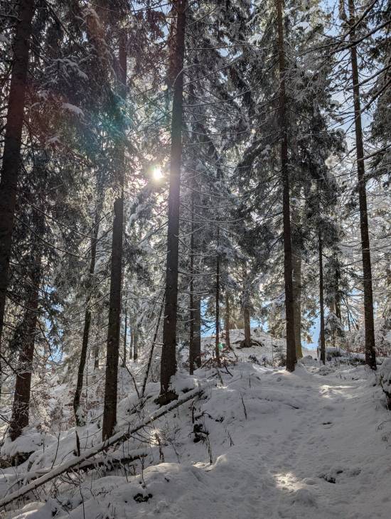 pxl_20251122_103550949.jpg pxl_20251122_103550949.jpg