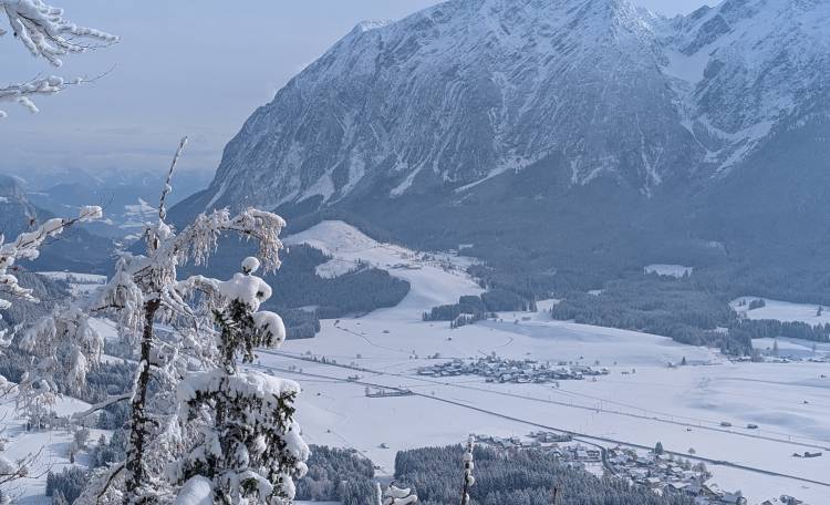 pxl_20251122_110149685.jpg pxl_20251122_110149685.jpg