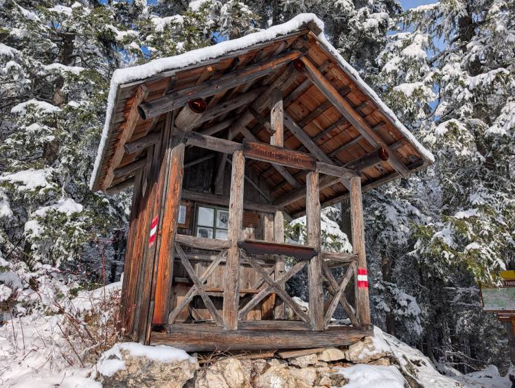 pxl_20251122_110205012.jpg pxl_20251122_110205012.jpg