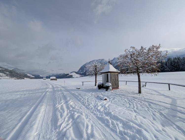 pxl_20251122_121456149.jpg pxl_20251122_121456149.jpg