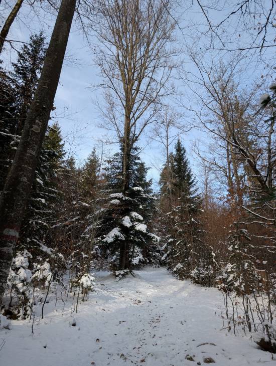 pxl_20251124_084414828.jpg pxl_20251124_084414828.jpg