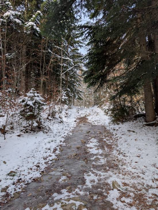 pxl_20251124_084624153.mp.jpg pxl_20251124_084624153.mp.jpg