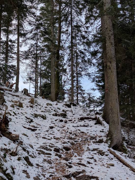 pxl_20251124_090726057.jpg pxl_20251124_090726057.jpg