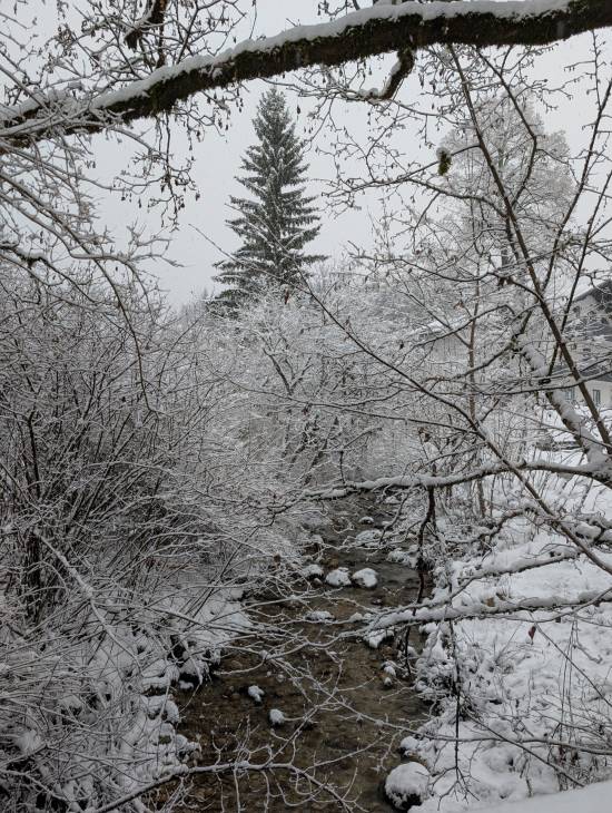 pxl_20251125_084914335.mp.jpg pxl_20251125_084914335.mp.jpg