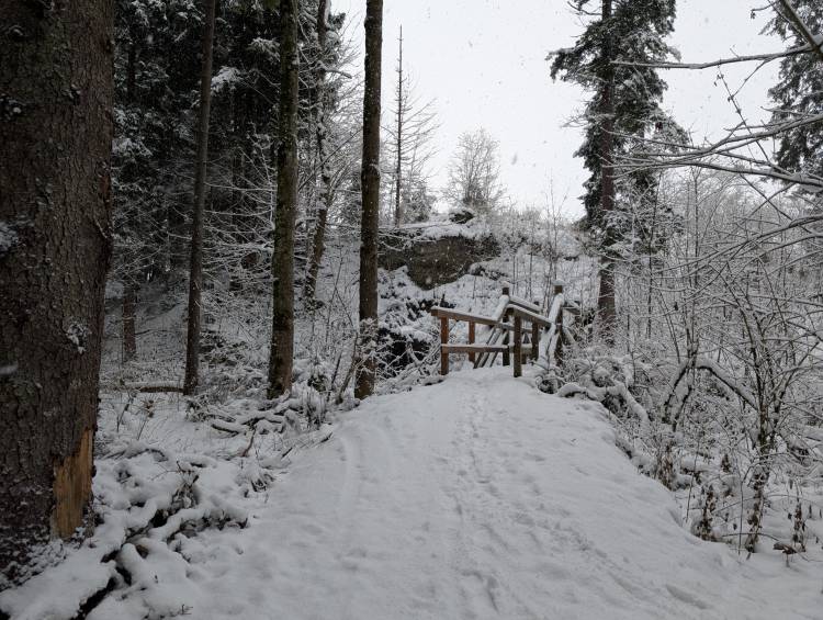 pxl_20251125_110011261.mp.jpg pxl_20251125_110011261.mp.jpg