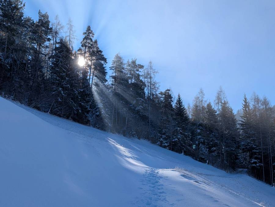 pxl_20250118_110704131.jpg